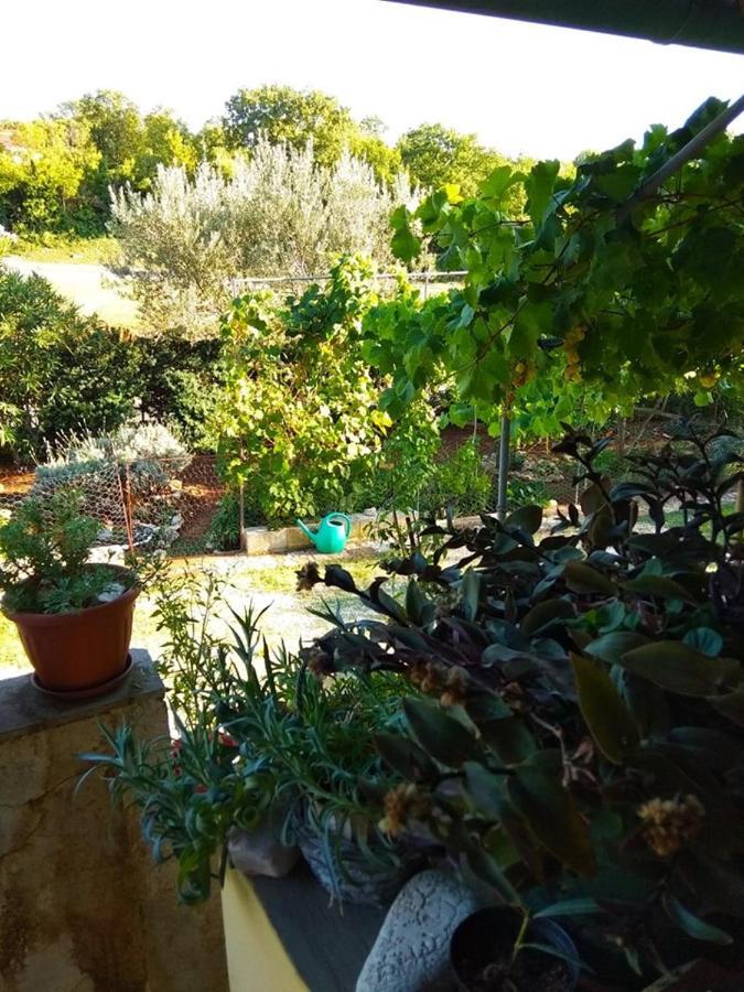 Apartman Garma Rovinj Kültér fotó