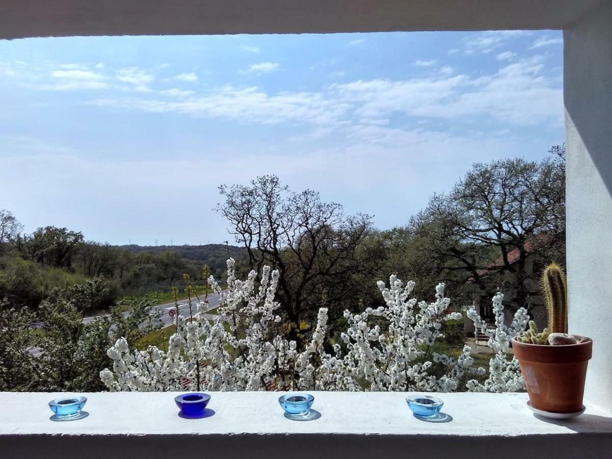 Apartman Garma Rovinj Kültér fotó